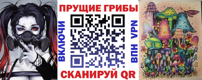 Псилоцибиновые грибы прущие грибы  закладка  Шатура 